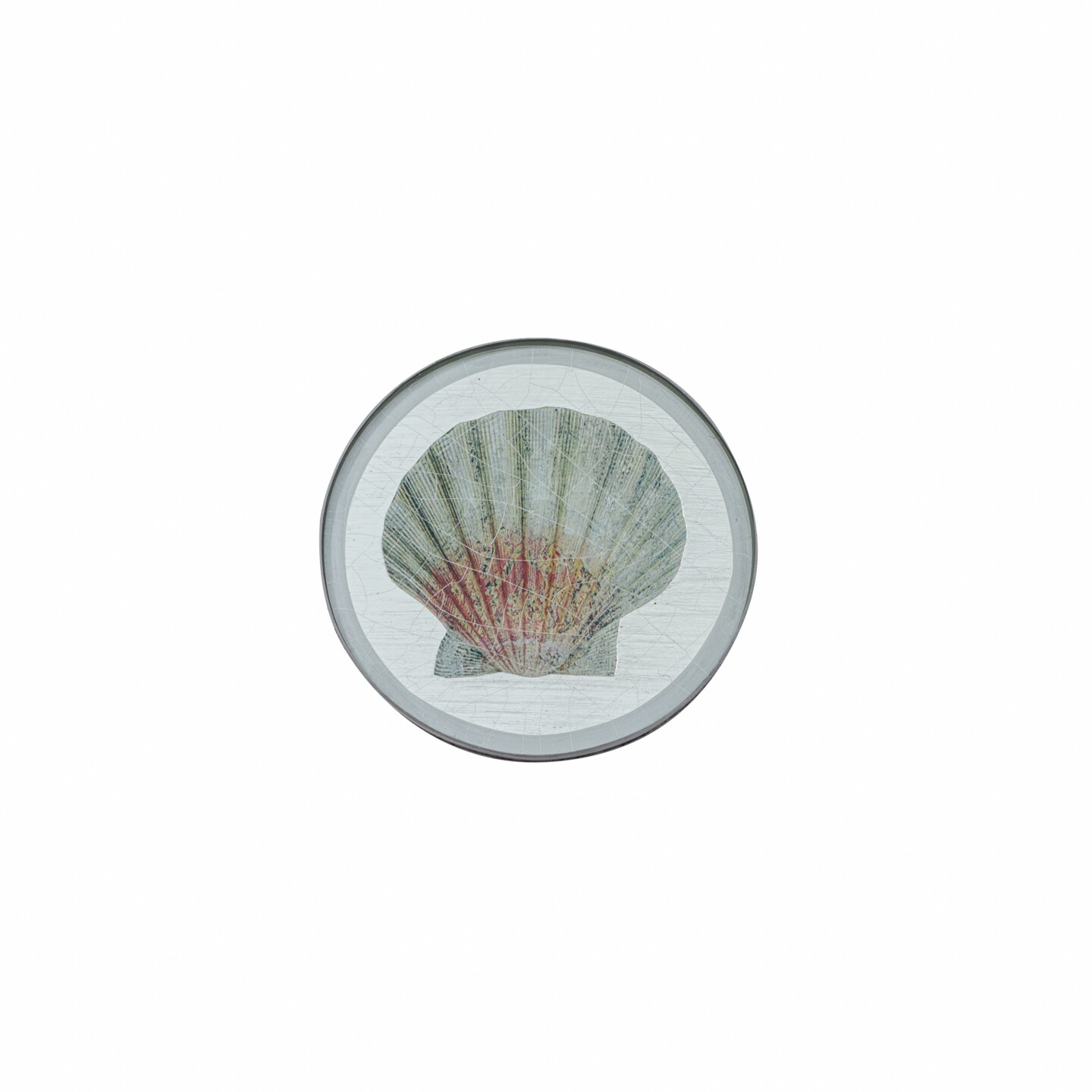 Round Coaster, Shells on silver leaf    £23