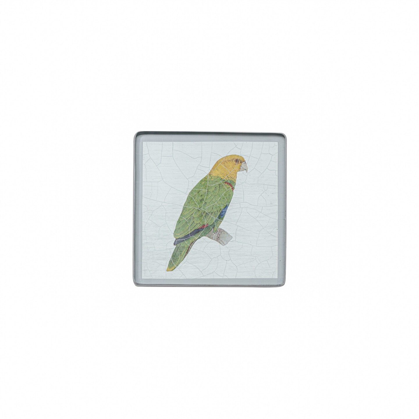 Square coaster, Parrot on silver leaf    £23